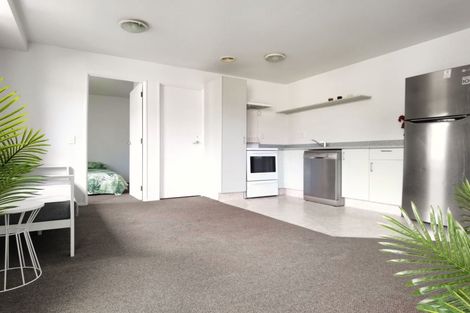 Photo of property in Palm Grove Apartments, 13/13c Palm Grove, Berhampore, Wellington, 6023