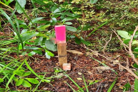 Photo of property in 92 Pinchgut Road, Kaukapakapa, 0873