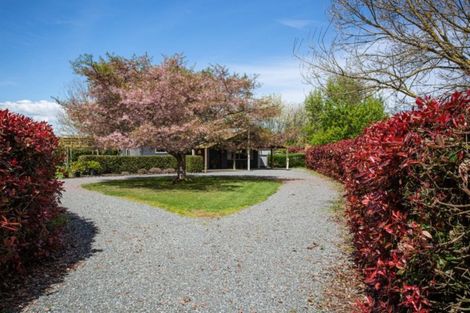 Photo of property in 1/62 Bruntwood Road, Tamahere, Hamilton, 3493