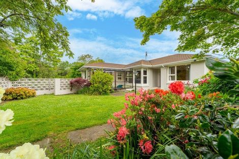 Photo of property in 53 Campbell Street, Geraldine, 7930