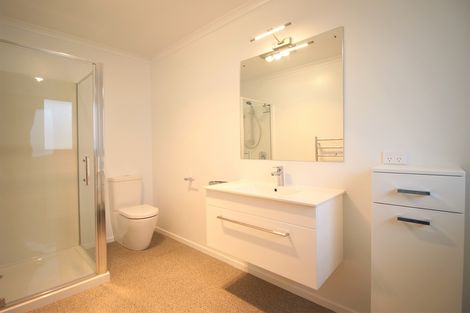 Photo of property in 18 Brooke Place, Alexandra, 9320