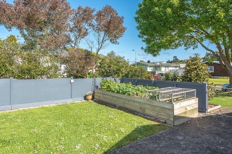 Photo of property in 14 Massey Street, Aramoho, Whanganui, 4500