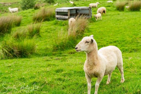 Photo of property in 24a Waterview Crescent, Kaiwaka, 0573