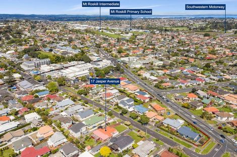 Photo of property in 17 Jasper Avenue, Mount Roskill, Auckland, 1041