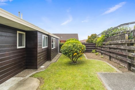 Photo of property in 44b Bayfair Drive, Mount Maunganui, 3116