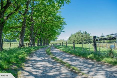 Photo of property in 103 Sladdens Bush Road, Coopers Creek, Oxford, 7495