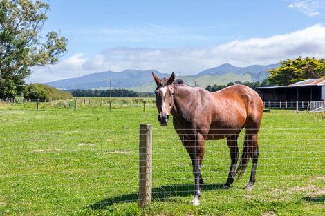 Photo of property in 633 Kiritaki Road, Dannevirke, 4972