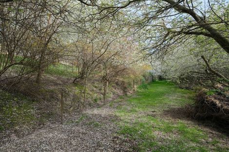 Photo of property in 317 Chain Hills Road, Chain Hills, Dunedin, 9076