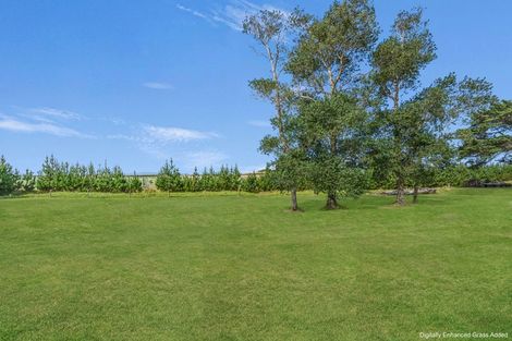 Photo of property in 259 Redhill Cemetery Road, Te Kopuru, Dargaville, 0371