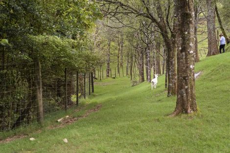 Photo of property in 52c Williams Road South, Pyes Pa, Tauranga, 3173