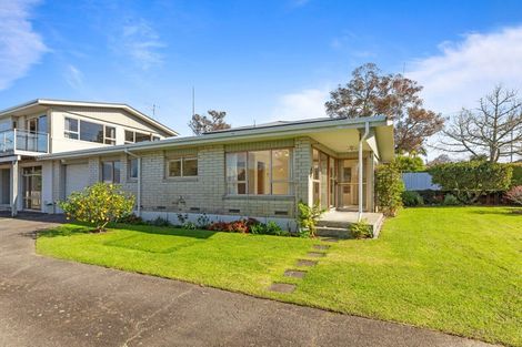 Photo of property in 45a Hinewa Road, Otumoetai, Tauranga, 3110
