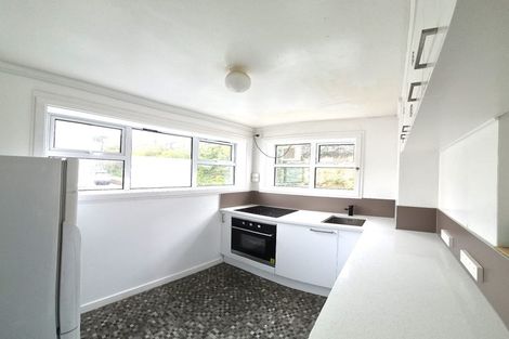 Photo of property in 99 Coromandel Street, Newtown, Wellington, 6021