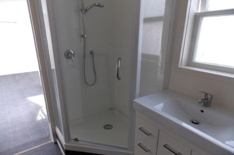 Photo of property in 9 Wilson Street, Newtown, Wellington, 6021