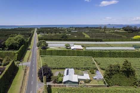 Photo of property in 186 Beach Road, Katikati, 3178