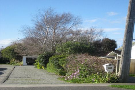 Photo of property in 39a Macarthur Street, Levin, 5510