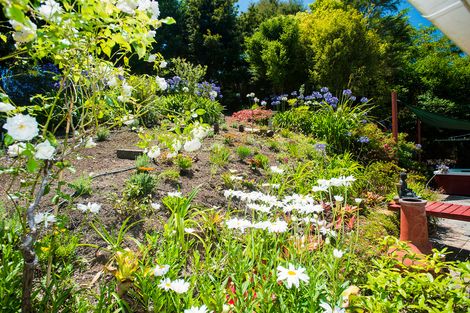 Photo of property in 3 Magnolia Street, Outer Kaiti, Gisborne, 4010