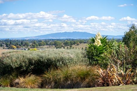 Photo of property in 257 Maungakawa Road, Cambridge, 3496