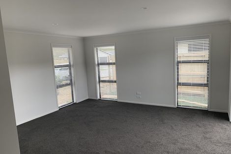 Photo of property in 118 Whakaturou Crescent, Pyes Pa, Tauranga, 3112