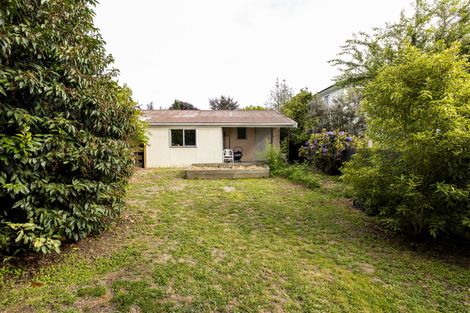 Photo of property in 29 Flatman Crescent, Geraldine, 7930