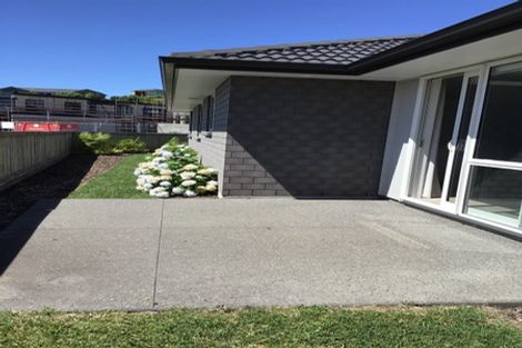 Photo of property in 65 Bert Wall Drive, Omokoroa, 3114
