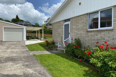 Photo of property in 34 Pokuru Road North, Whakamaru, Mangakino, 3492