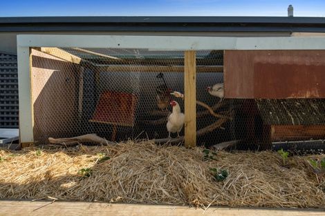 Photo of property in 16a Pitchill Street, Mayfield, Blenheim, 7201