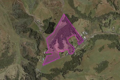 Photo of property in 380 Gleeson Road, Pollok, 2683