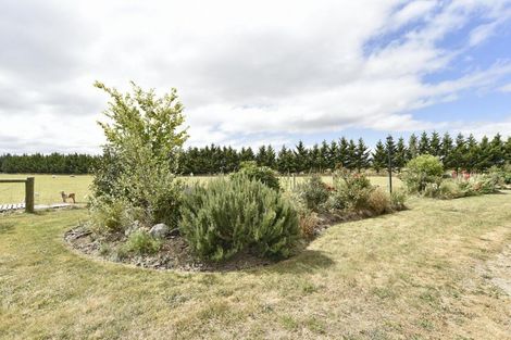 Photo of property in 221 Depot Road, Burnt Hill, Oxford, 7495