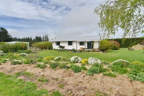 Photo of property in 407 Pesters Road, Eyrewell, Rangiora, 7476