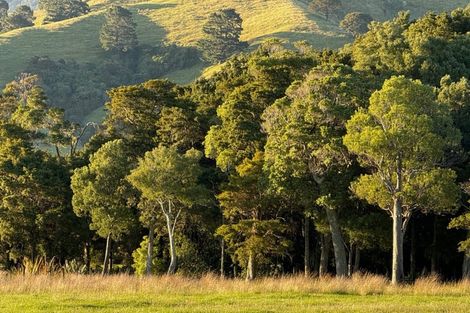 Photo of property in 194 Underhill Road, Woodside, Greytown, 5794