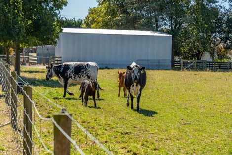 Photo of property in 645 Tancreds Road, Lincoln, Christchurch, 7676