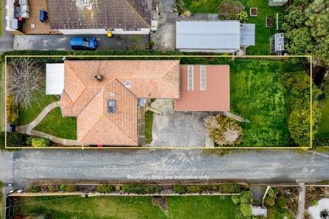 Photo of property in 19 Mornington Road, Balaclava, Dunedin, 9011