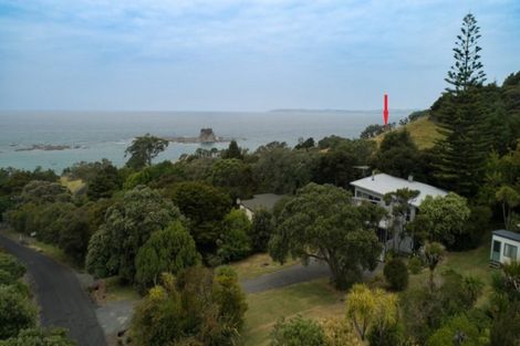 Photo of property in 7 Spray Crescent, Leigh, 0985