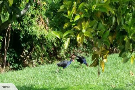 Photo of property in 19/16 Willerton Avenue, New Lynn, Auckland, 0600