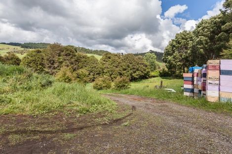 Photo of property in 195 Kapowai Road, Whenuakite, Whitianga, 3591