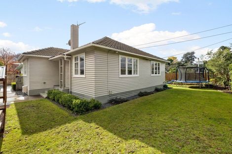 Photo of property in 634 River Road, Chartwell, Hamilton, 3210