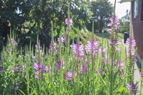 Photo of property in 103b Ginn Road, Rotowaro, Huntly, 3771