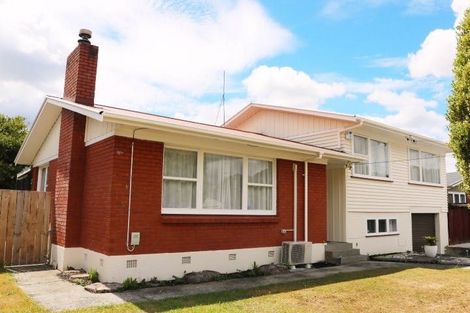 Photo of property in 143 Fitzroy Avenue, Fitzroy, Hamilton, 3206