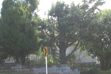 Photo of property in 21 Metcalfe Road, Ranui, Auckland, 0612