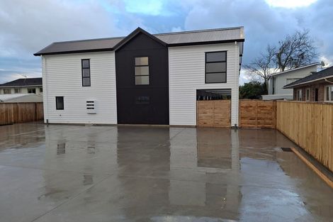 Photo of property in 149 Nixon Street, Hamilton East, Hamilton, 3216