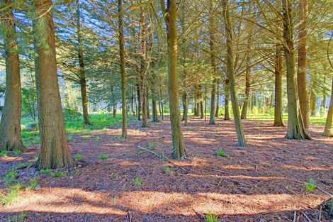 Photo of property in 1768 Ashburton Staveley Road, Ashburton Forks, Ashburton, 7771