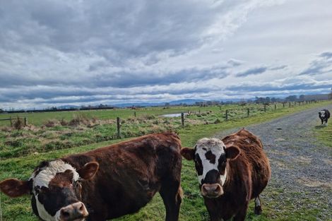 Photo of property in 103 Mountvista Road, Fernside, Kaiapoi, 7691