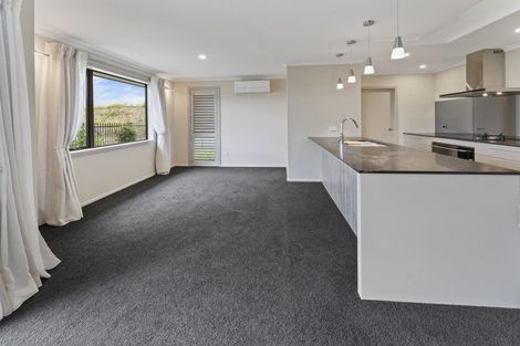 Photo of property in 29 Youngberry Drive, Richmond, 7020