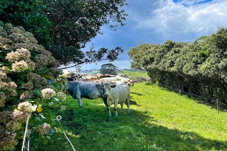 Photo of property in 30 Mahana Road, Waimauku, 0881