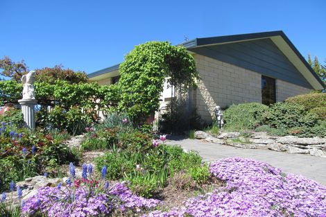 Photo of property in 3 Peterson Place, Bridge Hill, Alexandra, 9320