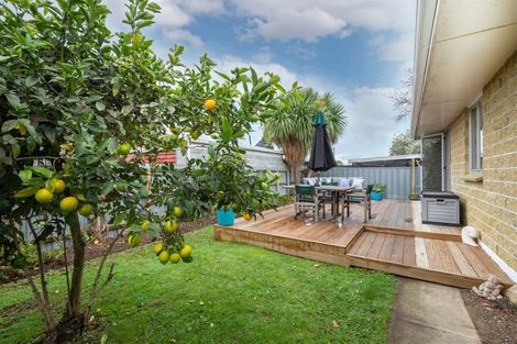 Photo of property in 1/56 Leefield Street, Blenheim, 7201