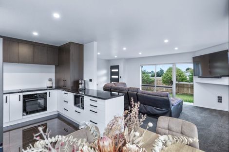 Photo of property in 25 Solway Street, Levin, 5510