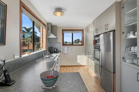 Photo of property in 106 Wilson Street, Thames, 3500