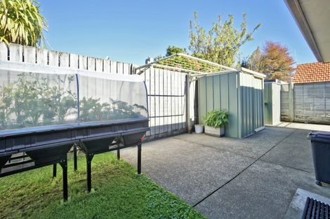 Photo of property in 20c Moehau Street, Te Puke, 3119