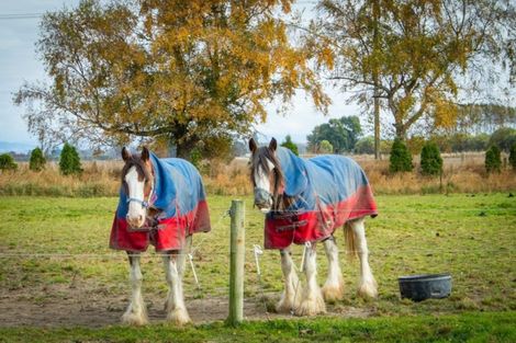 Photo of property in 14 Arowhenua Station Road, Kerrytown, Timaru, 7973